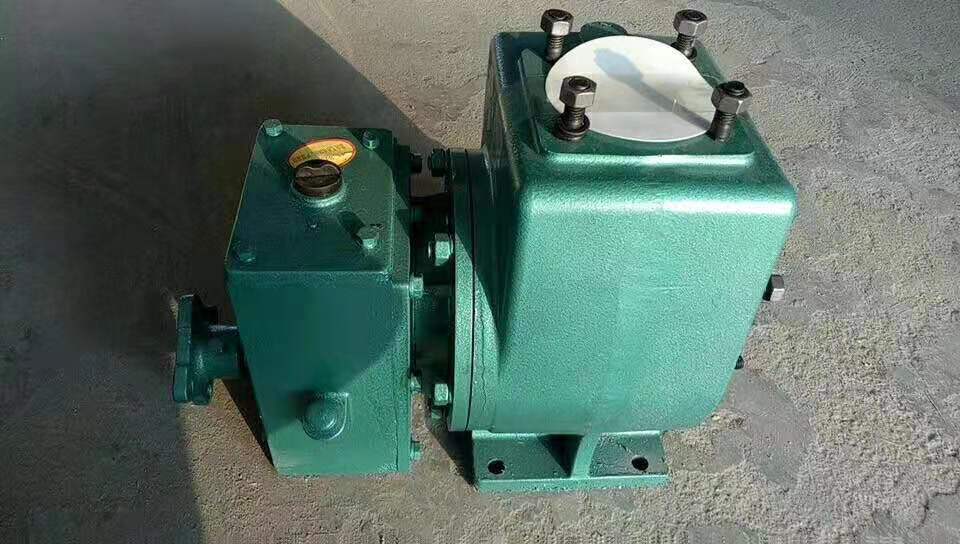 65QZF40/45N 小洒水泵